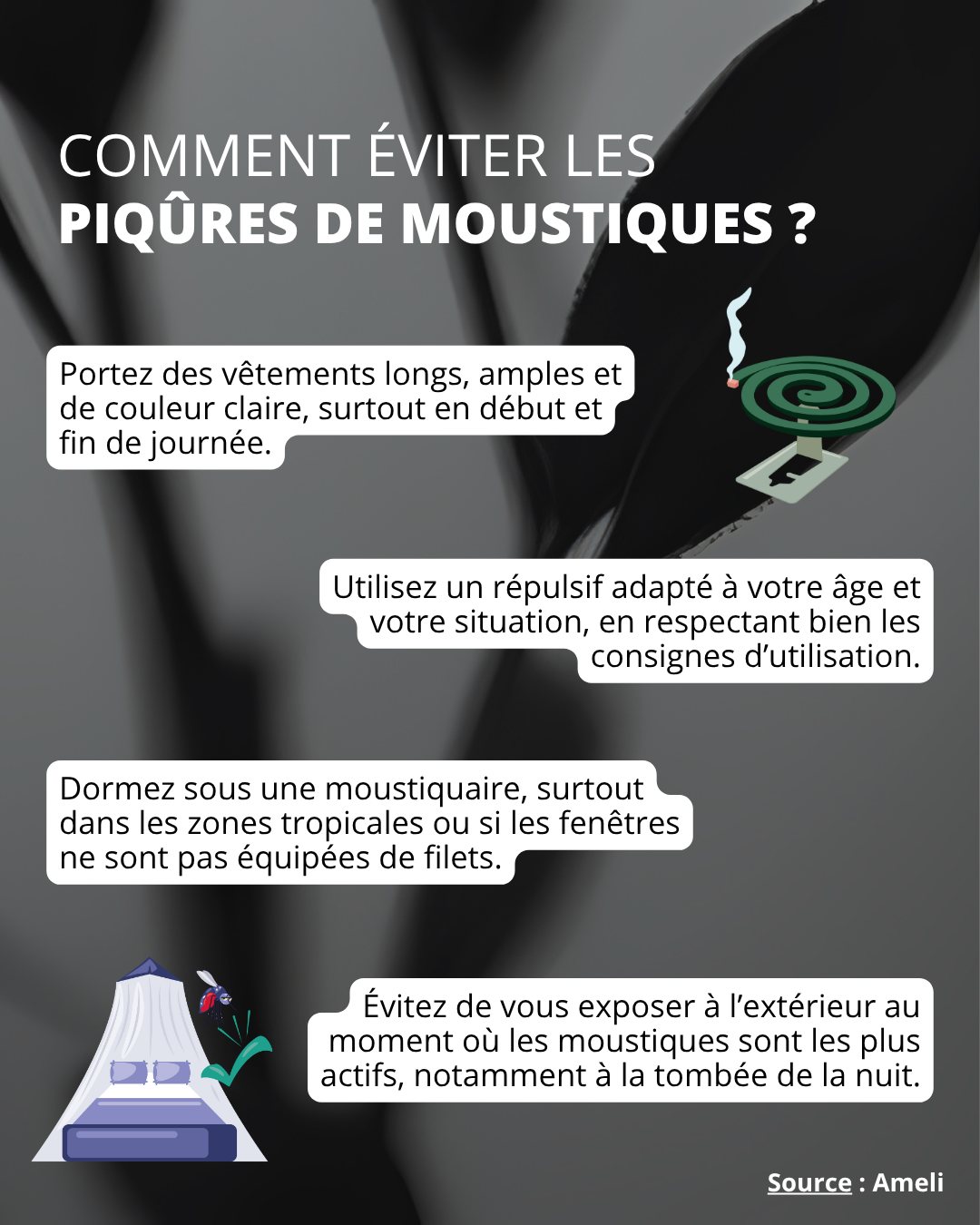 moustiques